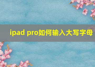 ipad pro如何输入大写字母